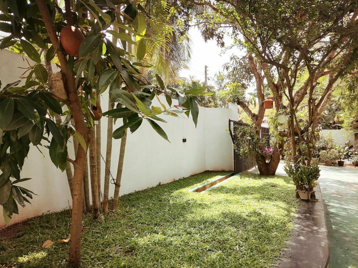 Ceylonima Home Stay Anuradhapura Esterno foto